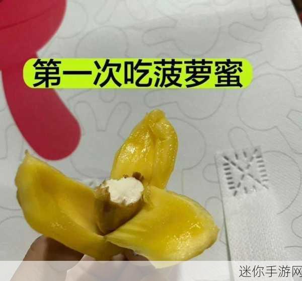 菠萝蜜视频入口：拓展菠萝蜜视频入口，畅享更多精彩内容与乐趣！