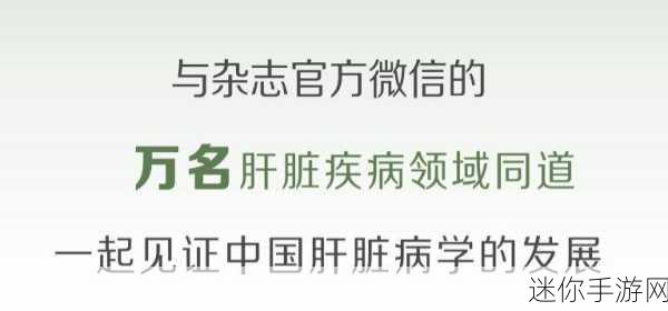 国产伦理一线二线三线四线：探讨国产伦理：一线、二线、三线与四线的深层次分化与影响