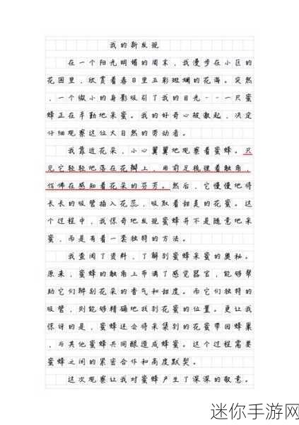 我是全公司的公共坐便作文：我在公共坐便间的奇妙观察与思考