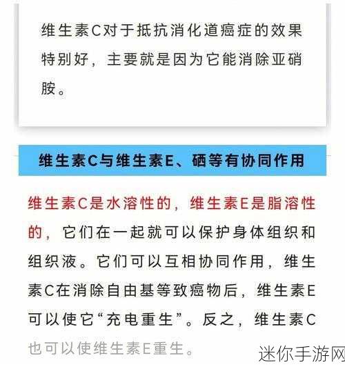 17.c：探索17.c的潜在应用与未来发展趋势分析