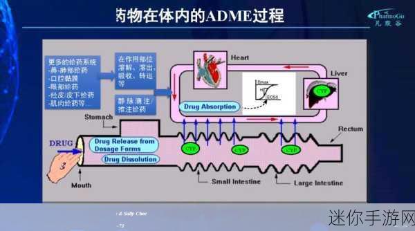 实验4痉挛口吐白沫：探讨实验4中痉挛及口吐白沫的生理机制与原因