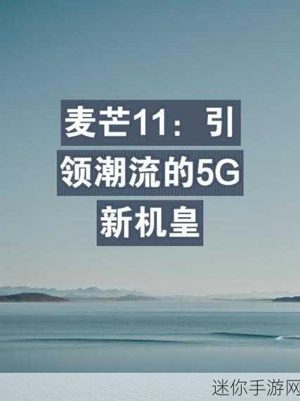 天天5g天天国外：畅享全球5G网络，助力你我无缝联接新生活