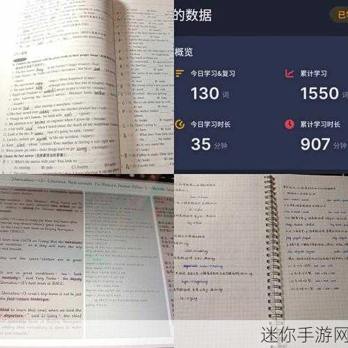 向日葵视频app站长统计：提升向日葵视频APP站长统计功能，优化用户体验与数据分析