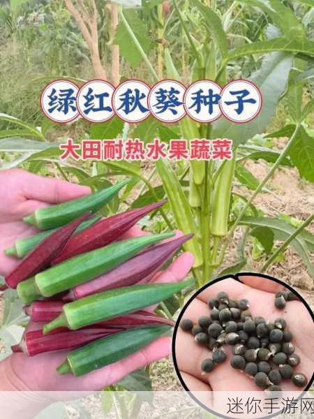 丝瓜草莓芭乐秋葵蕾丝榴莲：多彩水果与蔬菜的奇妙搭配：丝瓜、草莓、芭乐和秋葵之旅