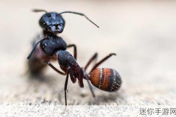 动物进化报恩来袭，探索生物奇境，畅享十足闯关乐趣