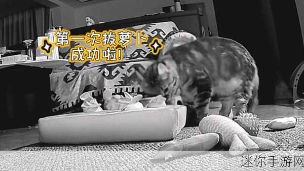 二人拔萝卜生猴子：二人拔萝卜，生猴子引发的奇妙冒险