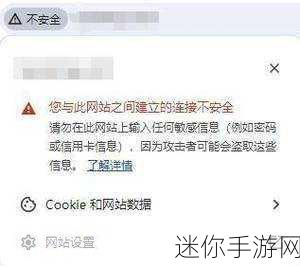 能打开违规网站的浏览器：安全隐私保护下的违规网站访问浏览器推荐与评测