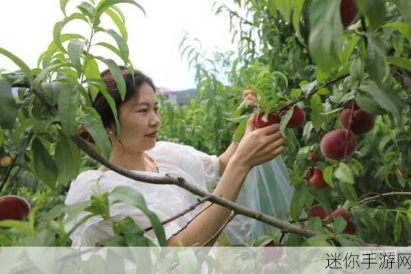 蜜桃频道：拓展蜜桃频道，探索甜美世界的无限可能与乐趣