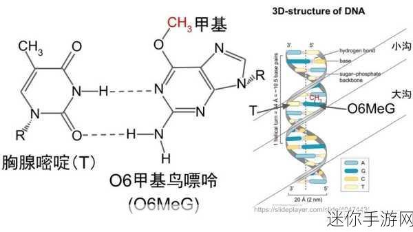 塔瑞斯世界收费机制大揭秘