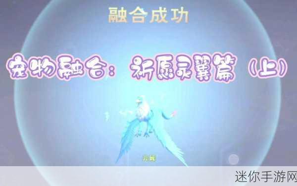 探索创造与魔法云翼的合成奥秘