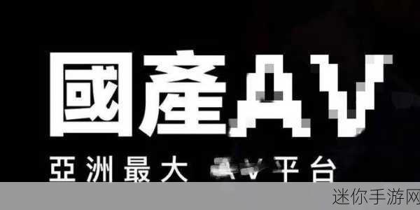 麻豆传煤入口麻豆：拓展麻豆传煤入口的多元化发展战略与市场分析