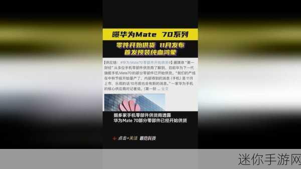 海角精产国品一二三区别：拓展海角精产国品的多样化与市场竞争力分析