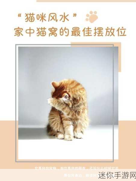 快喵Npn是：快喵Npn：探索智能宠物服务，打造便捷养猫新体验