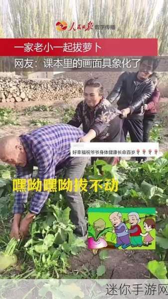 光腿拔萝卜：光腿拔萝卜：乡村趣事与青春的欢笑