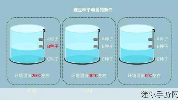 种子搜：探索种子搜索的无限可能性与应用前景