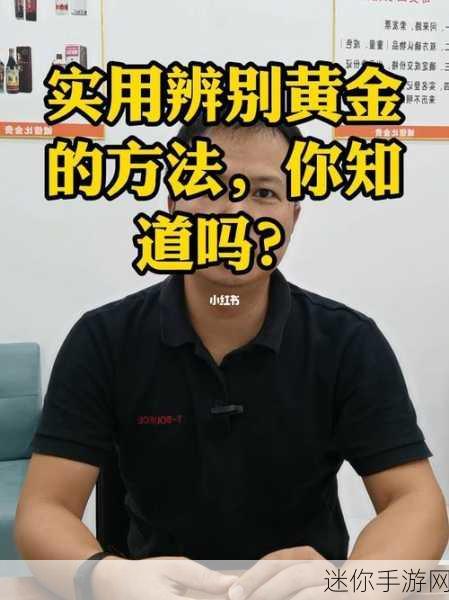 黄金网站App视频大全：探索黄金投资的全新视角——精彩视频集锦与实用技巧汇总