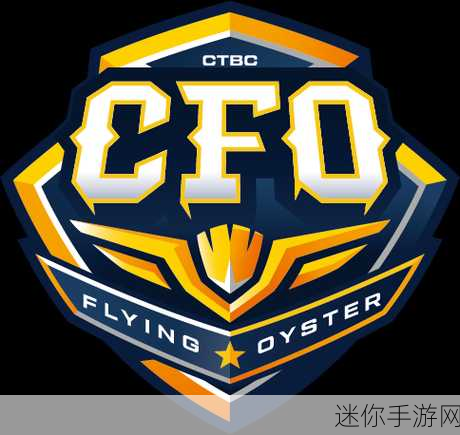 CFO战队：“打造高效财务团队：CFO战队的成功之路”