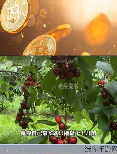 樱桃小视频在线观看：樱桃小视频：畅享年轻人的创意短片世界