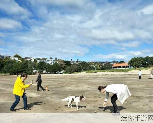 滚动的鸭子，一场别开生面的冒险休闲之旅