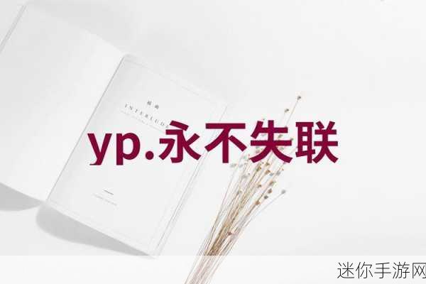 YP跳转接口永不失联的来源：拓展YP跳转接口，确保用户永不失联的解决方案