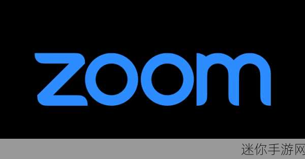 美国Zoom网站：“探索美国Zoom网站的多功能性与便捷沟通体验”