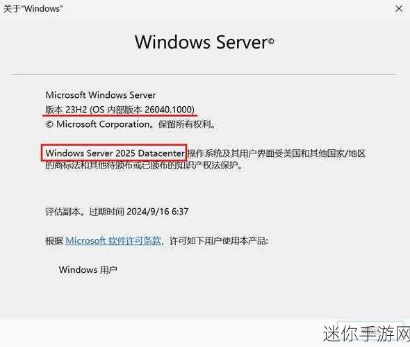 日本windowsserver高精度：日本Windows Server高精度技术的应用与发展探索