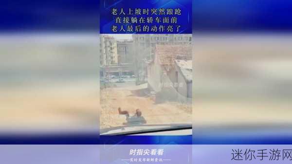 两个人生猴子不盖被子：人生如猴子，难以捉摸的旅程与意外的惊喜