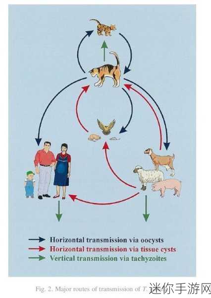 欧美人狗ZO：欧美地区人狗关系的深入探讨与文化现象分析