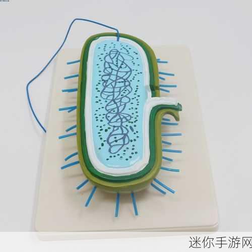 生物老师让班长当教学器材：班长担任教学器材管理，助力生物课堂更精彩