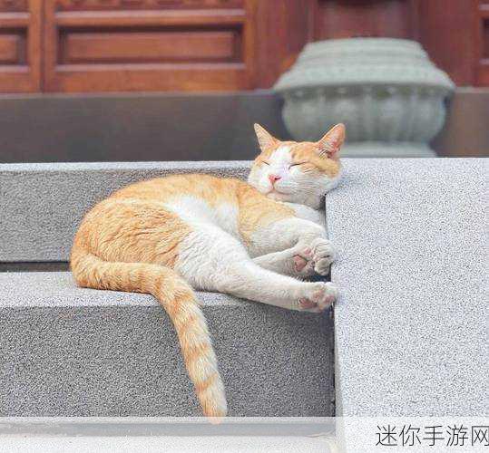 喵趣横生，养成乐趣尽在嘎查猫咪收藏家