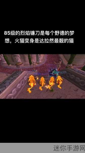 魔兽德鲁伊可以用盾牌吗：魔兽世界德鲁伊职业解析：能否装备盾牌？