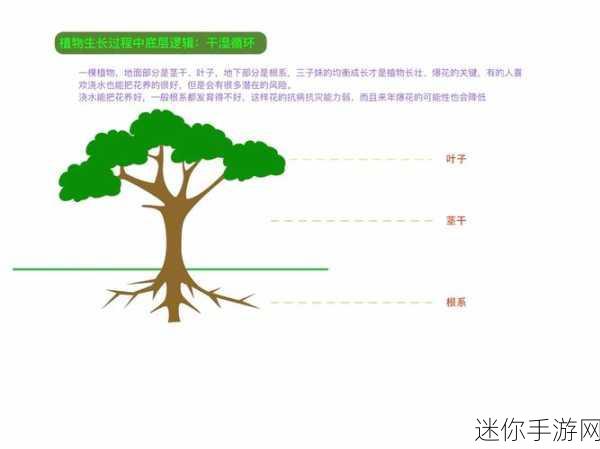 可不可以干湿你下笔愁：拓展思维边界：干湿交融的创意写作之旅